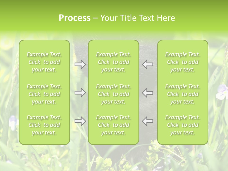 Cat Pets Small PowerPoint Template