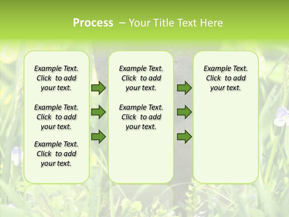Cat Pets Small PowerPoint Template