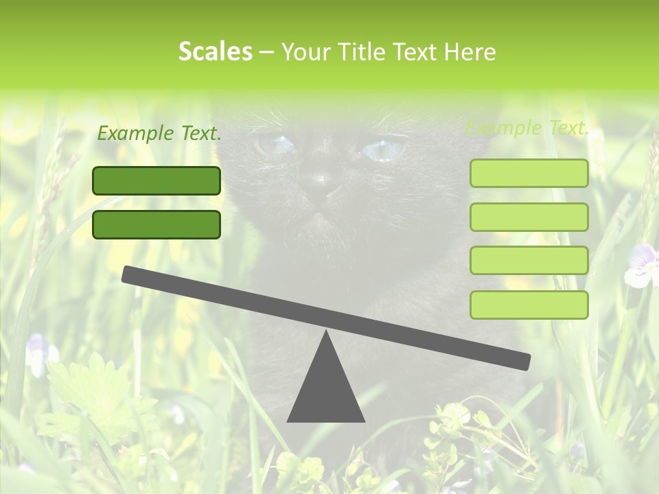 Cat Pets Small PowerPoint Template