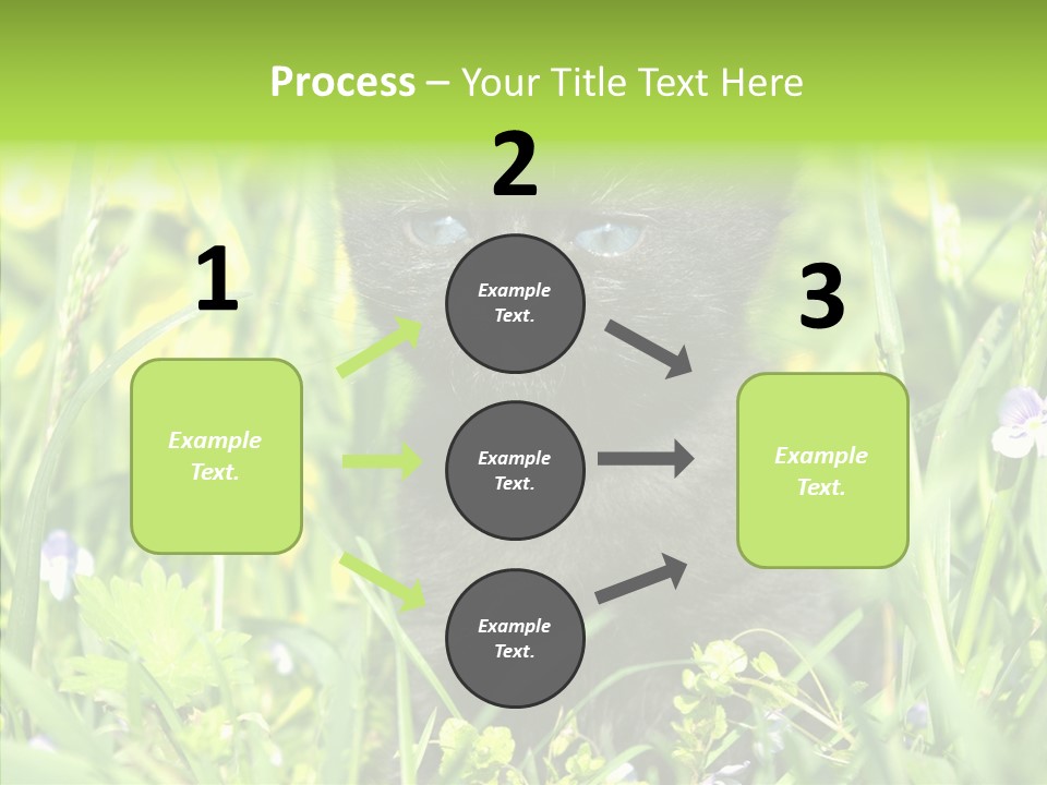 Cat Pets Small PowerPoint Template