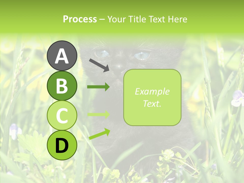 Cat Pets Small PowerPoint Template