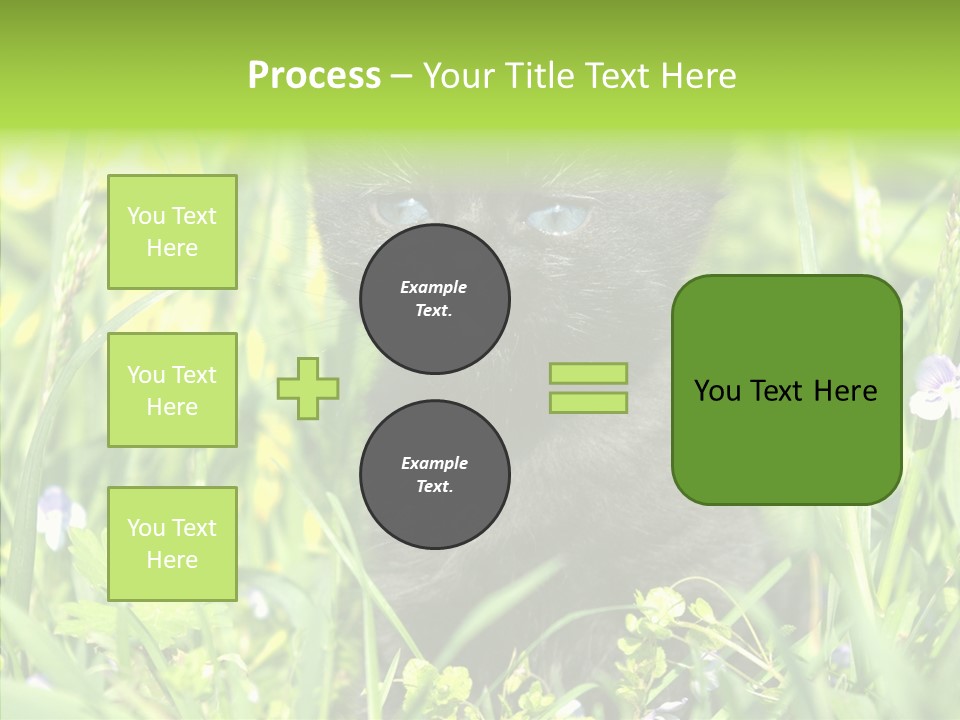 Cat Pets Small PowerPoint Template