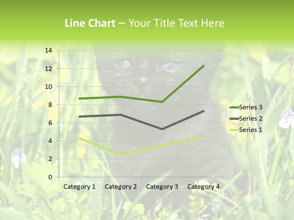 Cat Pets Small PowerPoint Template