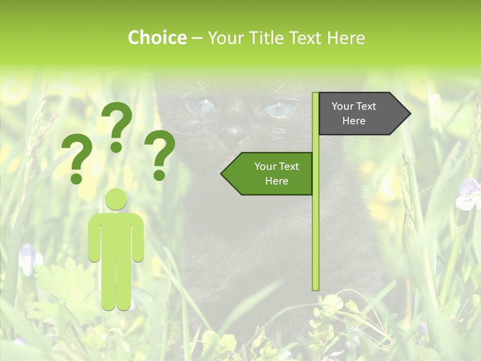 Cat Pets Small PowerPoint Template