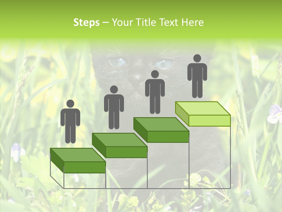 Cat Pets Small PowerPoint Template