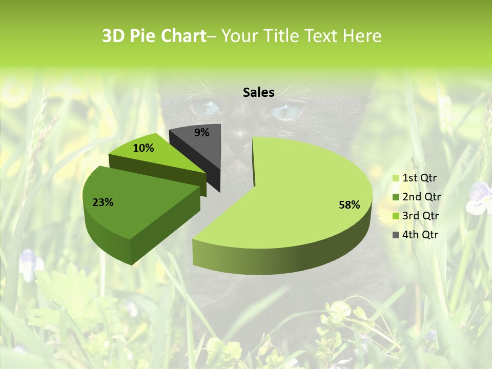 Cat Pets Small PowerPoint Template