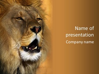 Feline Mouth Animal PowerPoint Template