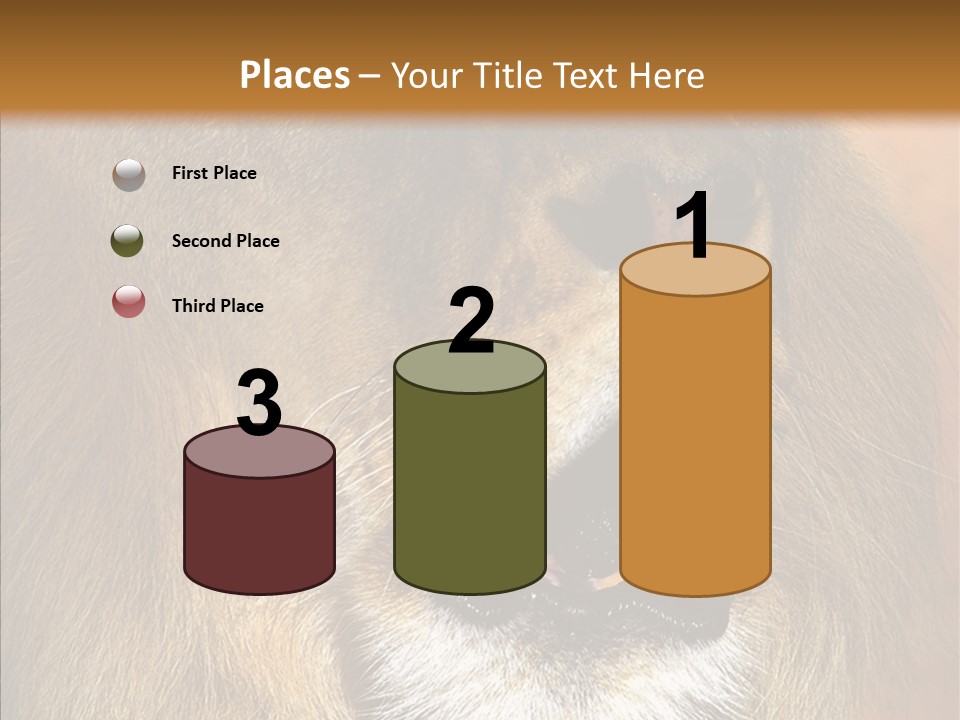 Feline Mouth Animal PowerPoint Template