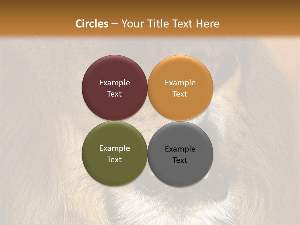 Feline Mouth Animal PowerPoint Template