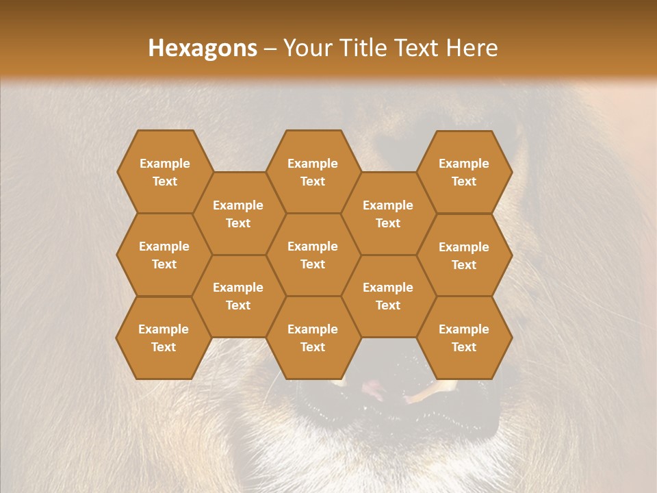 Feline Mouth Animal PowerPoint Template