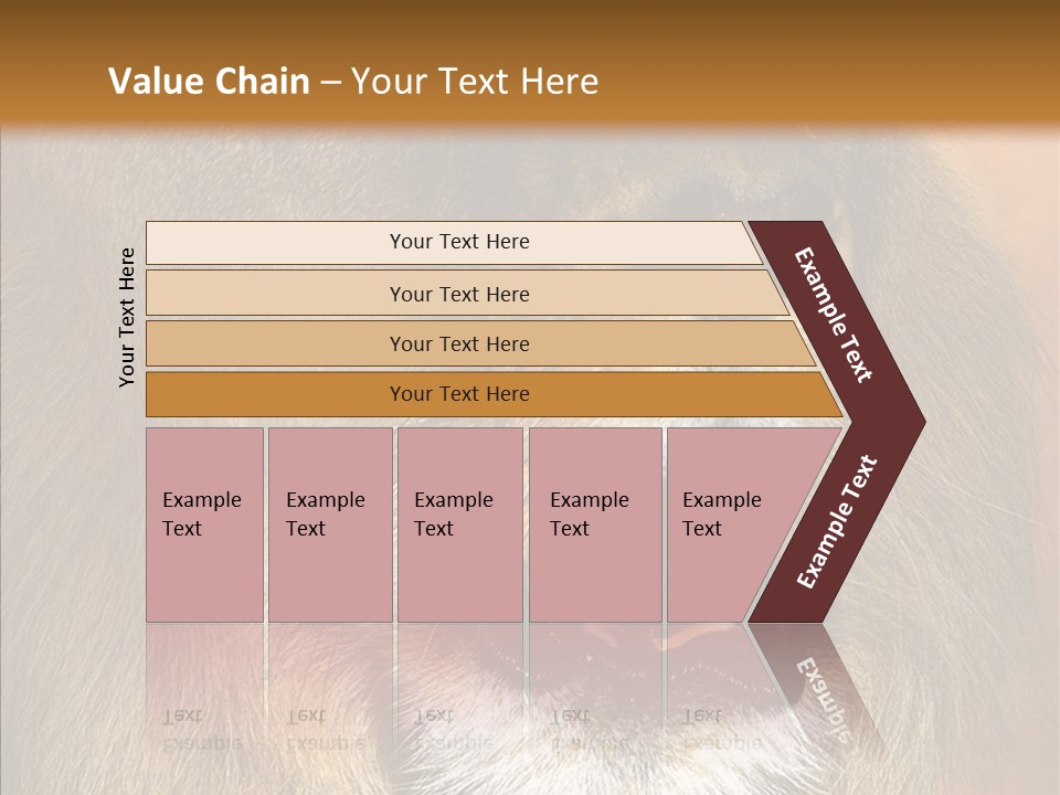 Feline Mouth Animal PowerPoint Template