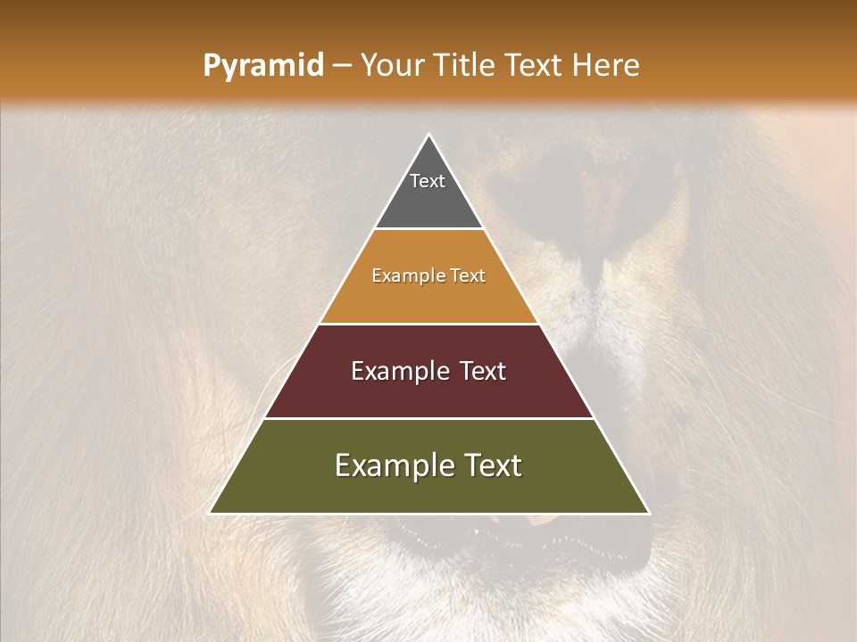 Feline Mouth Animal PowerPoint Template