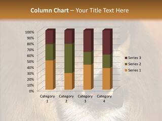 Feline Mouth Animal PowerPoint Template