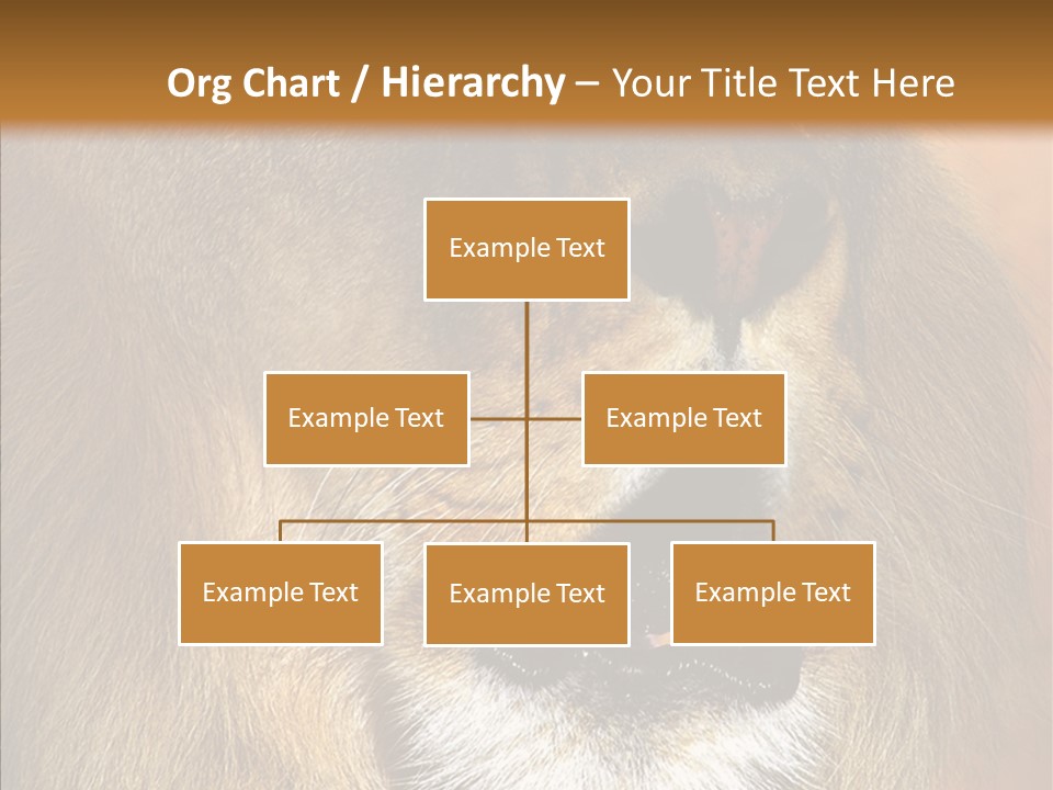 Feline Mouth Animal PowerPoint Template