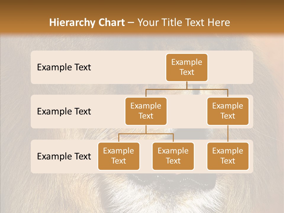 Feline Mouth Animal PowerPoint Template