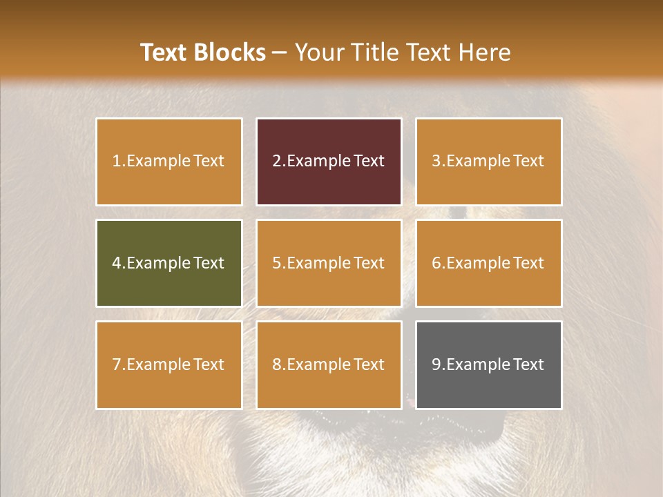 Feline Mouth Animal PowerPoint Template