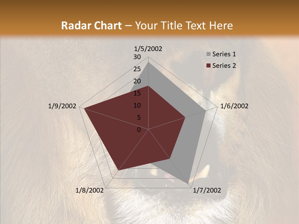 Feline Mouth Animal PowerPoint Template