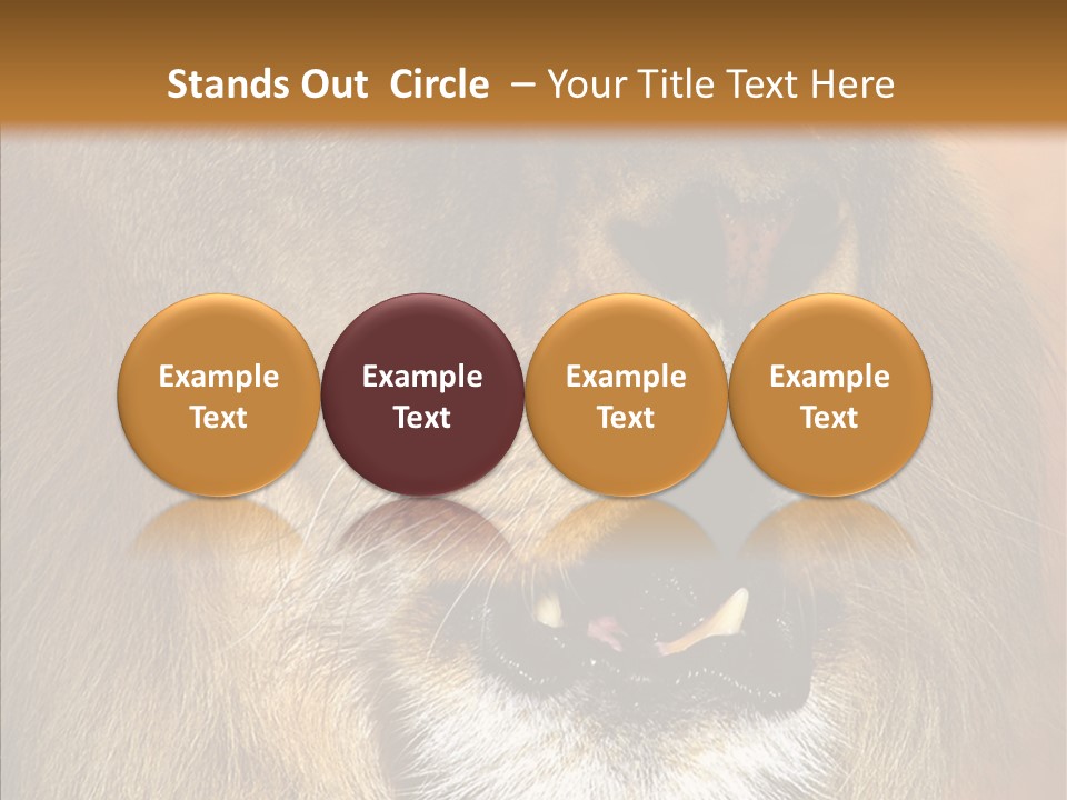 Feline Mouth Animal PowerPoint Template