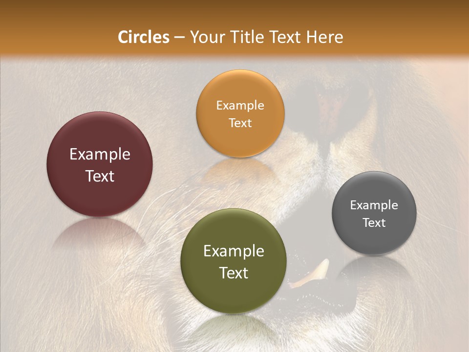 Feline Mouth Animal PowerPoint Template