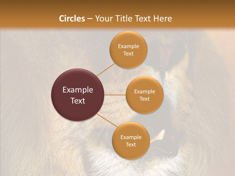 Feline Mouth Animal PowerPoint Template