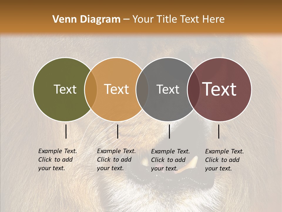 Feline Mouth Animal PowerPoint Template