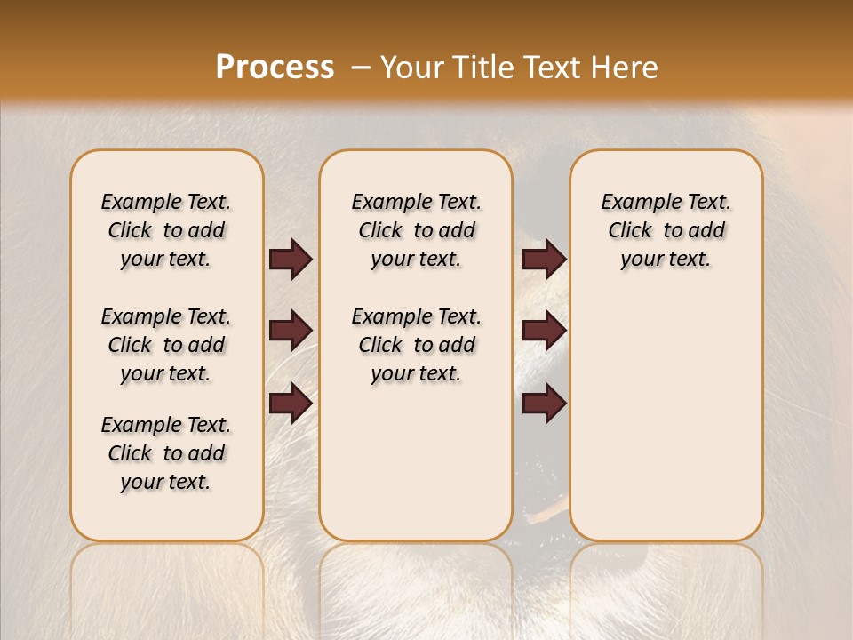 Feline Mouth Animal PowerPoint Template