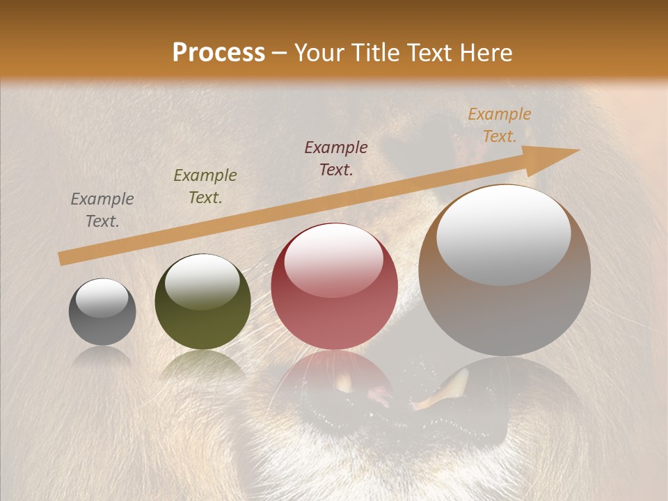 Feline Mouth Animal PowerPoint Template