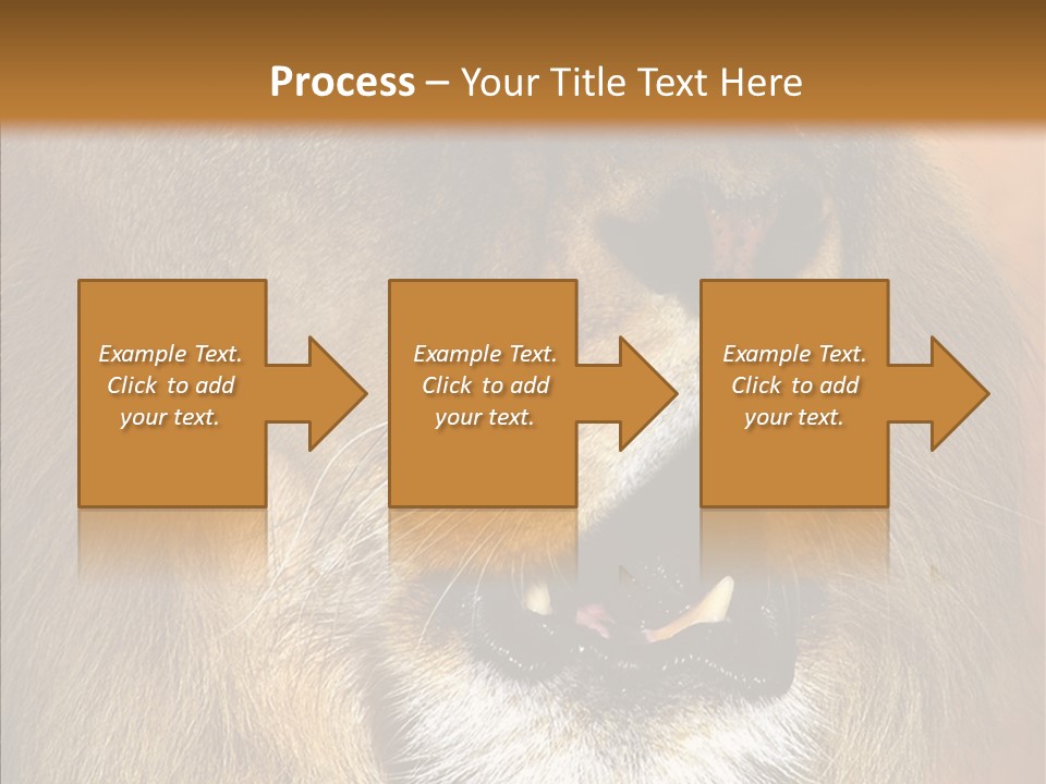 Feline Mouth Animal PowerPoint Template