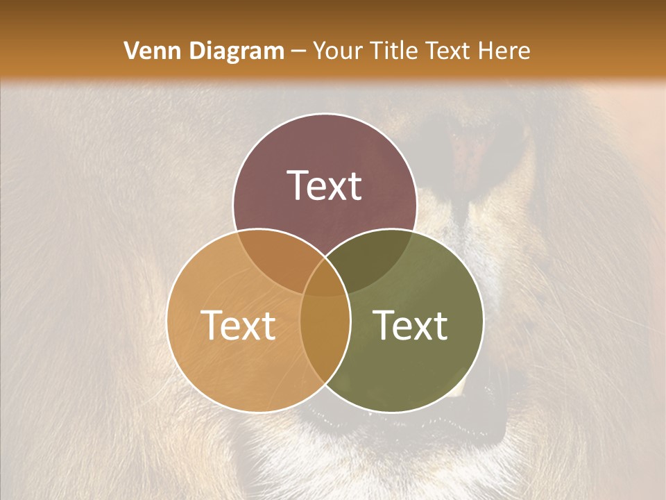 Feline Mouth Animal PowerPoint Template