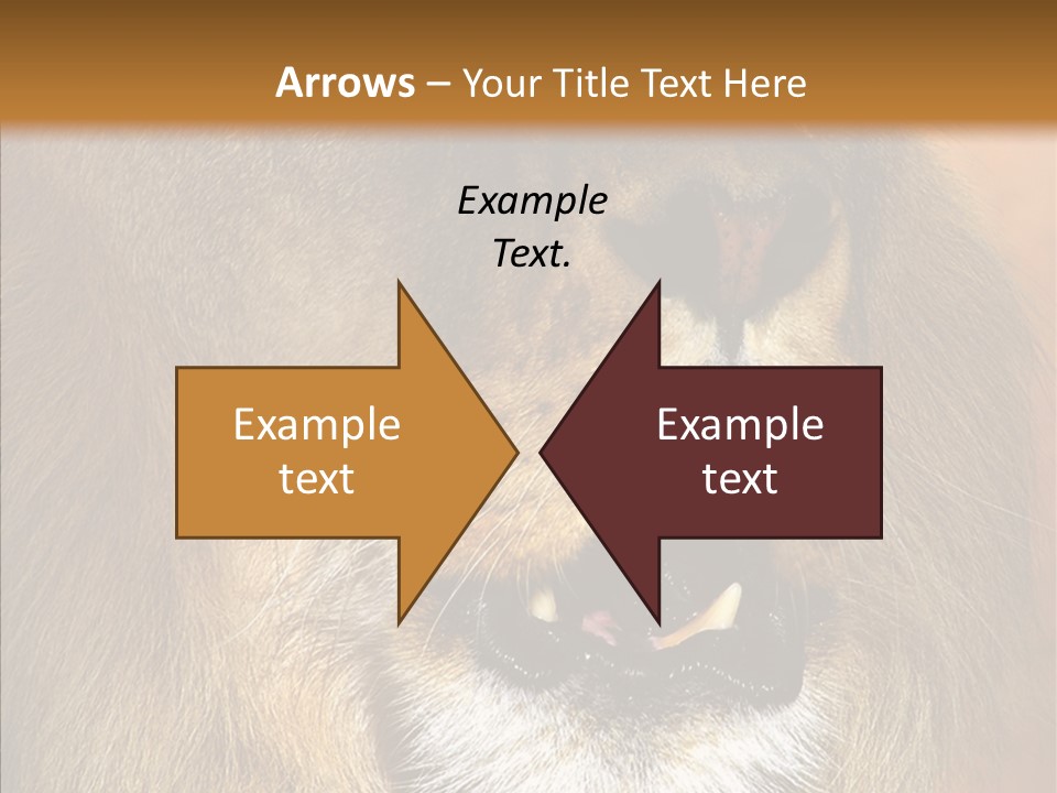 Feline Mouth Animal PowerPoint Template