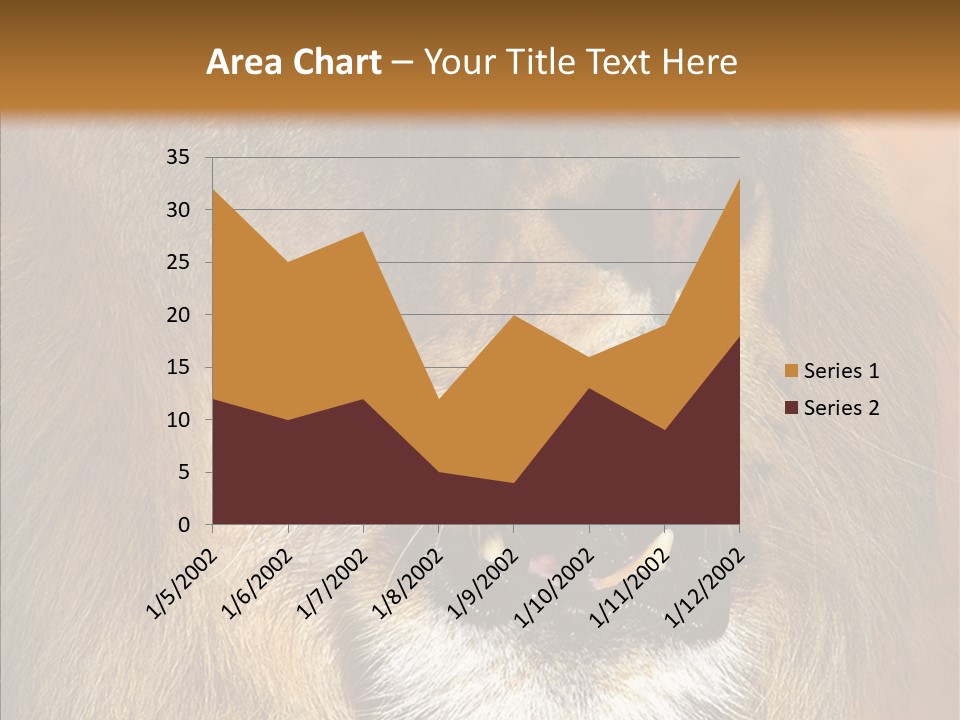 Feline Mouth Animal PowerPoint Template