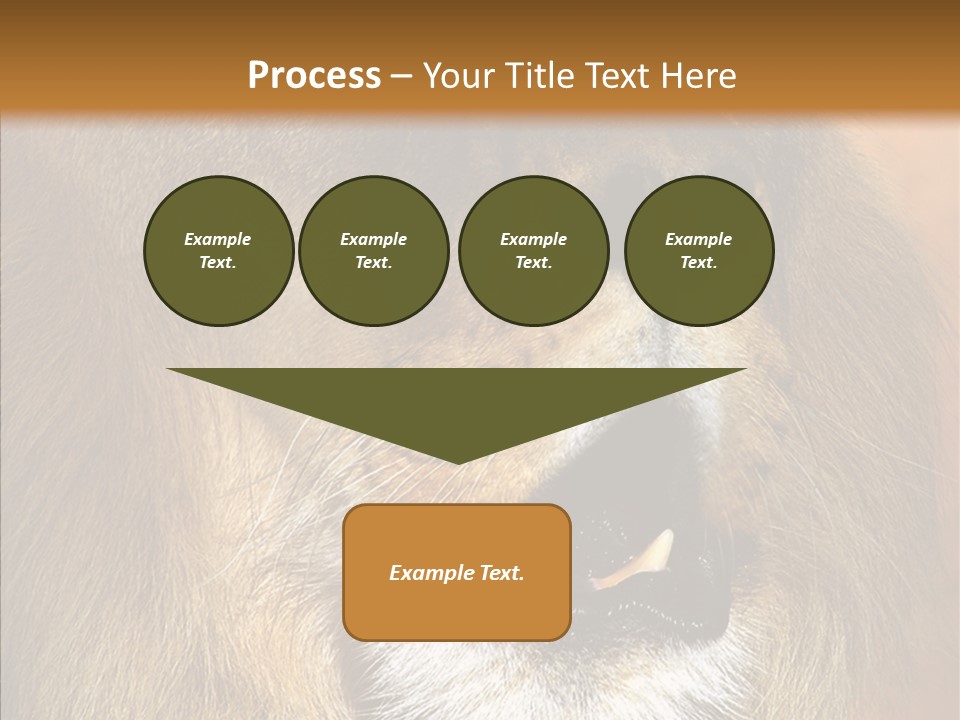 Feline Mouth Animal PowerPoint Template