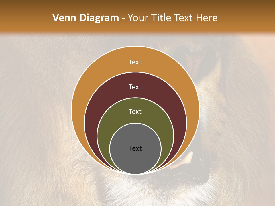 Feline Mouth Animal PowerPoint Template