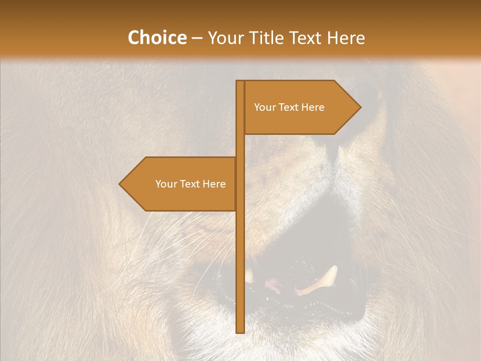 Feline Mouth Animal PowerPoint Template