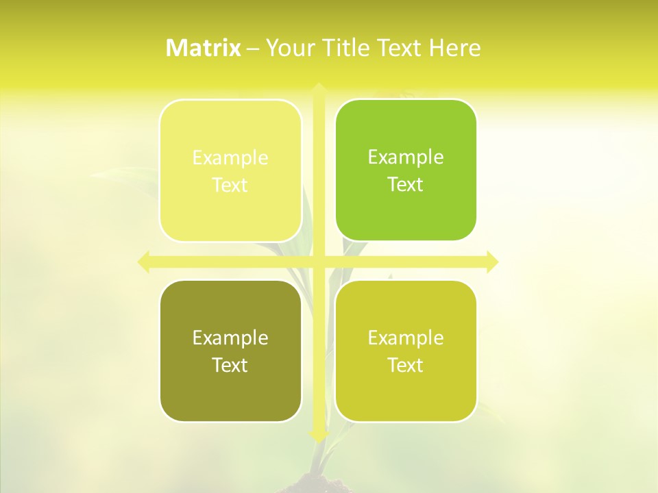 Close Up Foliage Flora PowerPoint Template