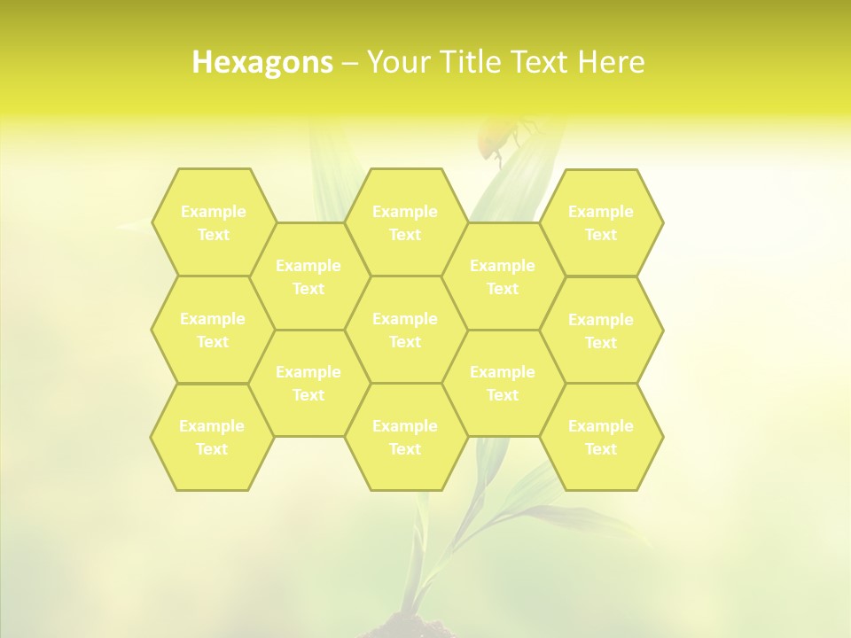 Close Up Foliage Flora PowerPoint Template