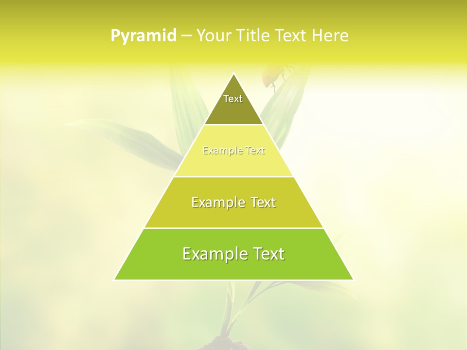 Close Up Foliage Flora PowerPoint Template