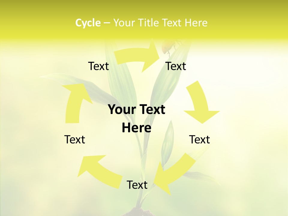 Close Up Foliage Flora PowerPoint Template