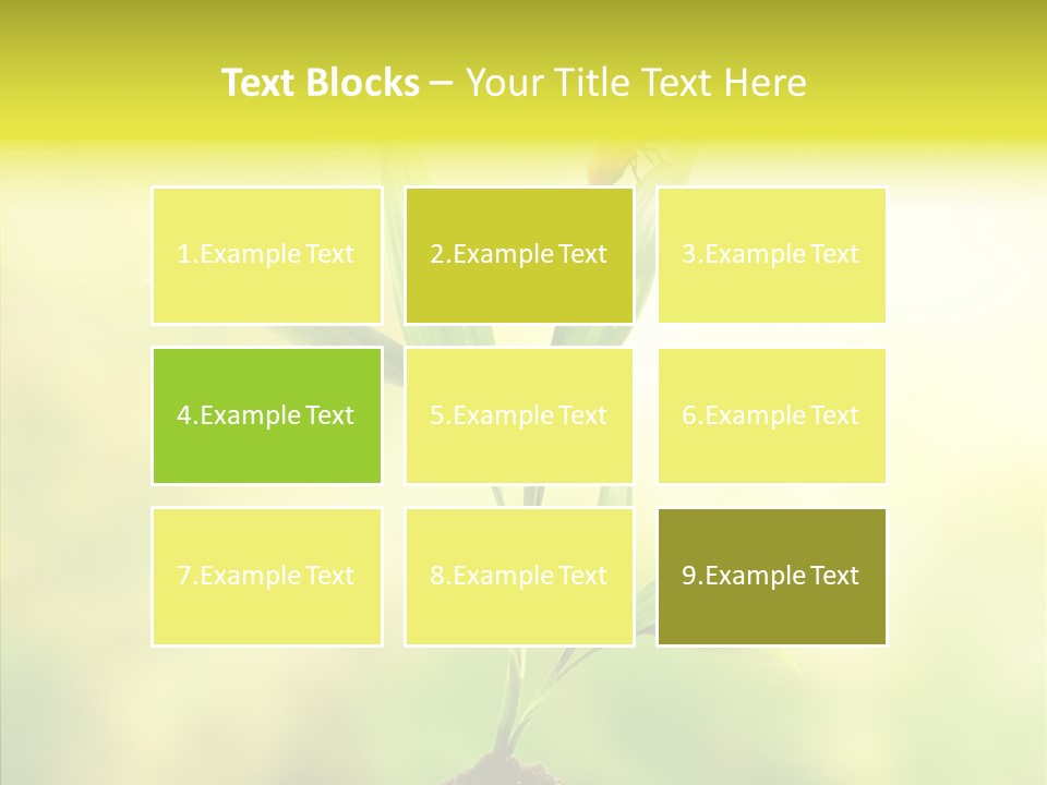 Close Up Foliage Flora PowerPoint Template