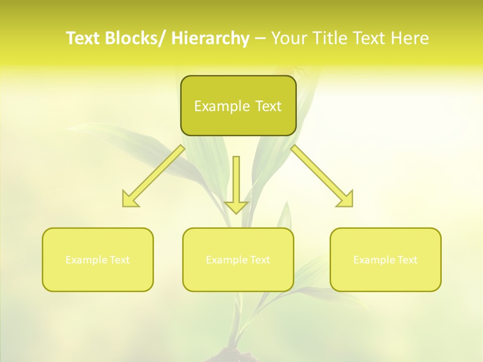 Close Up Foliage Flora PowerPoint Template