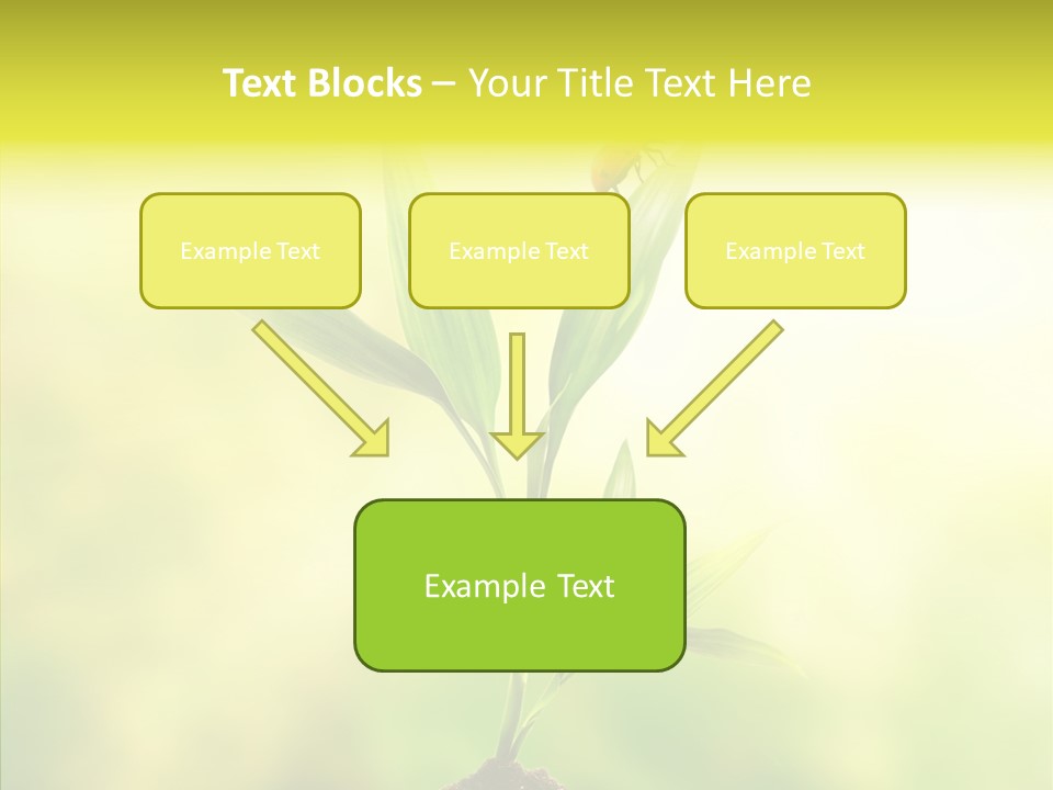 Close Up Foliage Flora PowerPoint Template