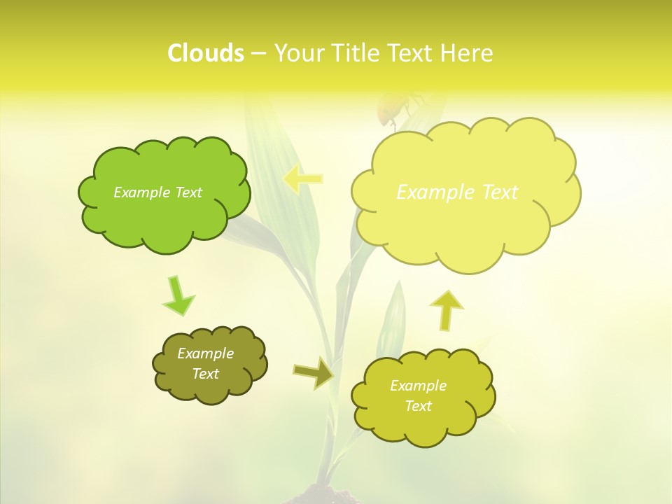 Close Up Foliage Flora PowerPoint Template