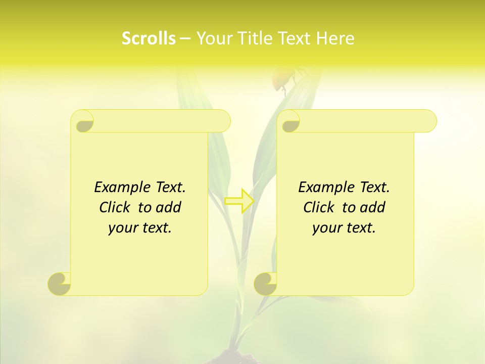 Close Up Foliage Flora PowerPoint Template