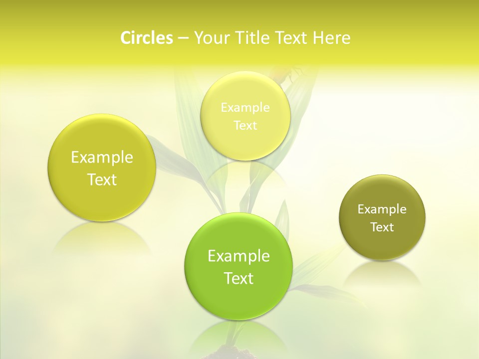 Close Up Foliage Flora PowerPoint Template