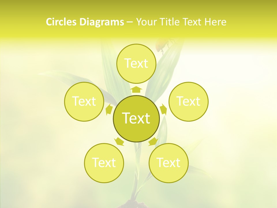 Close Up Foliage Flora PowerPoint Template