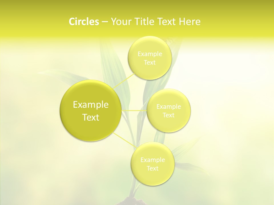 Close Up Foliage Flora PowerPoint Template