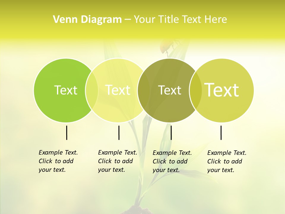 Close Up Foliage Flora PowerPoint Template
