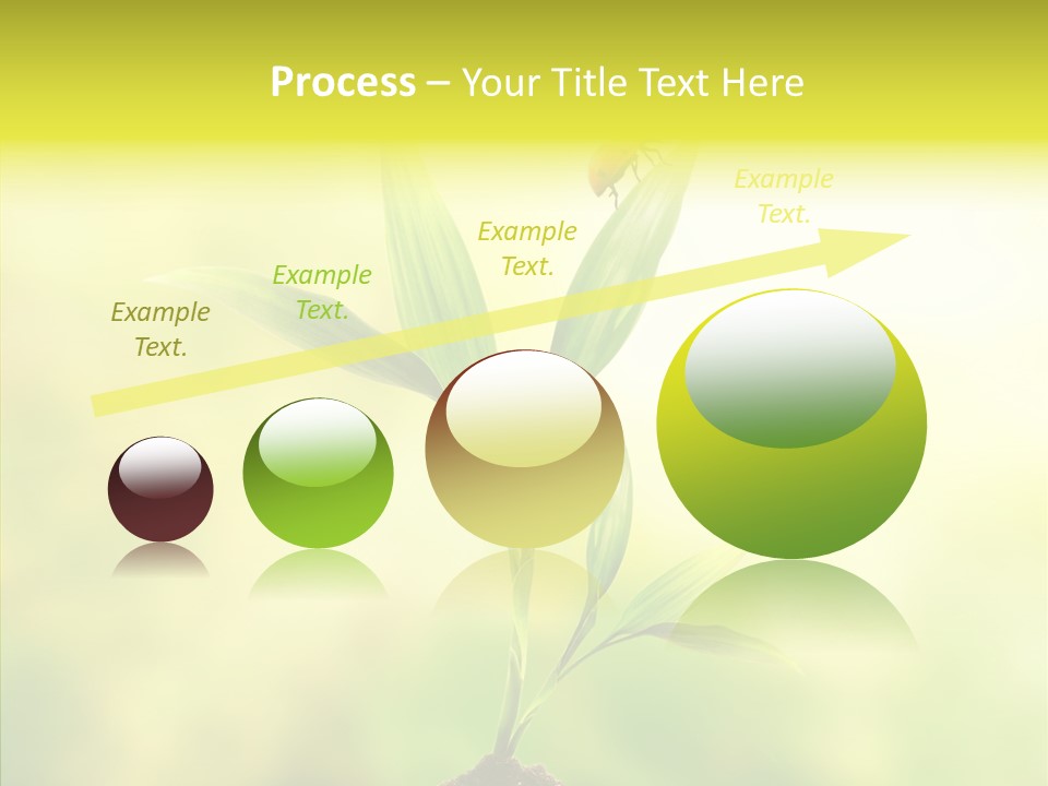 Close Up Foliage Flora PowerPoint Template