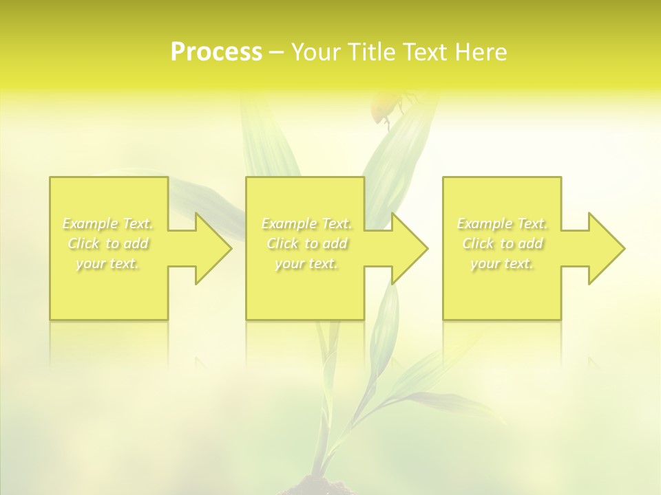 Close Up Foliage Flora PowerPoint Template