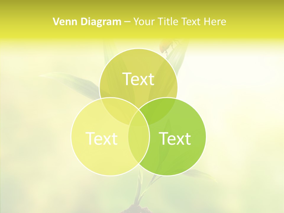Close Up Foliage Flora PowerPoint Template